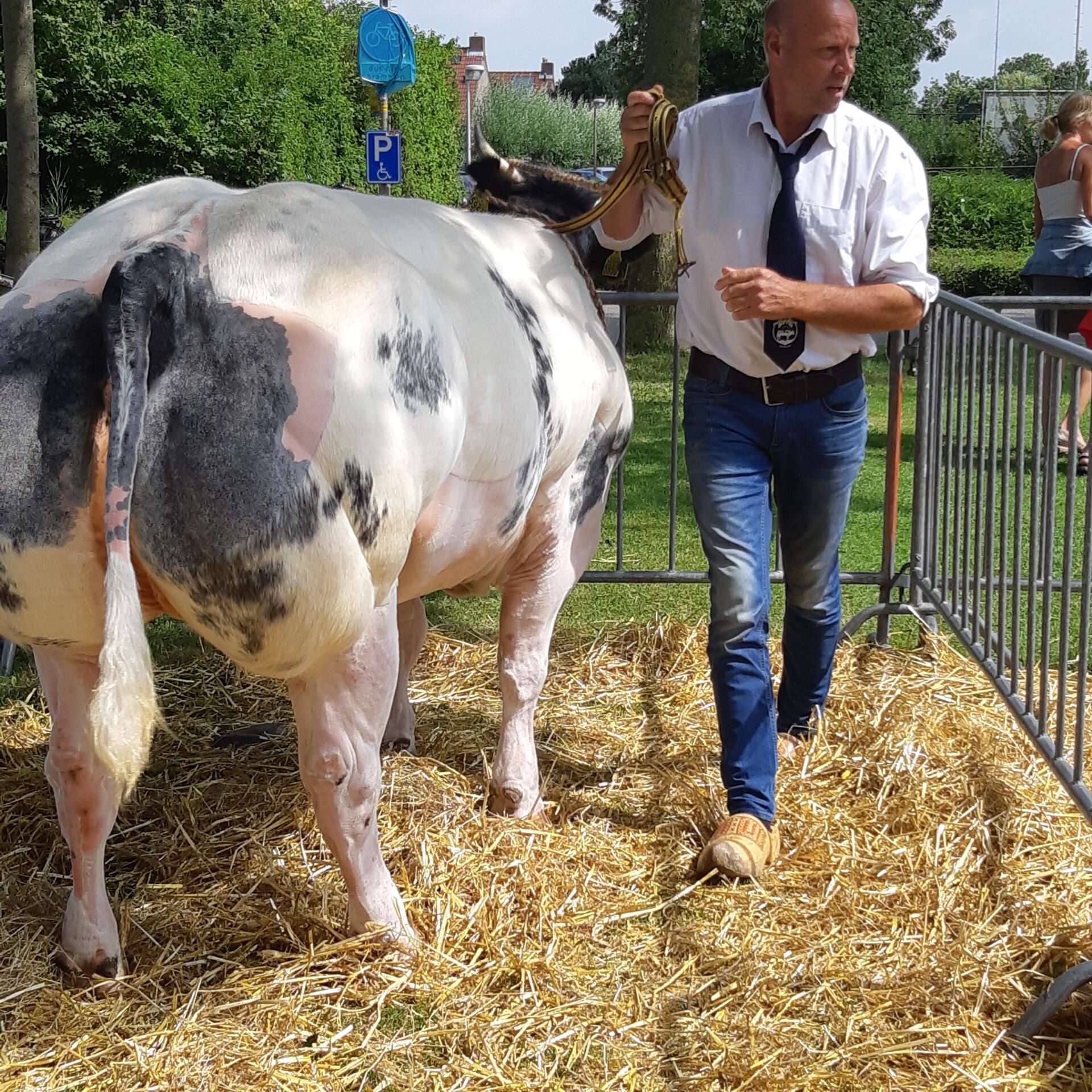 Конкурс лучший силос сенаж 2019 фото