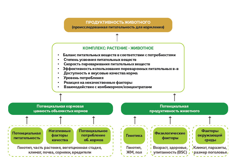 Это изображение имеет пустой атрибут alt; его имя файла - ponimat-kachestvo-obemistyh-kormov-af_factors2_ru-2.jpg