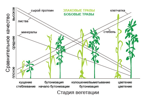 Это изображение имеет пустой атрибут alt; его имя файла - ponimat-kachestvo-obemistyh-kormov-af_plantdigestibility_ru.jpg
