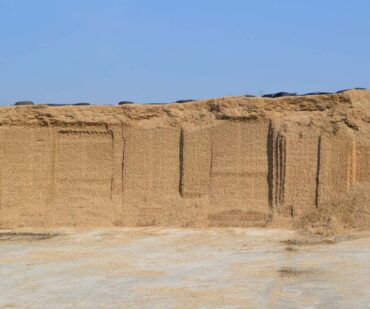 Чувствительность к нагреву кукурузного силоса в исследовании его питательности