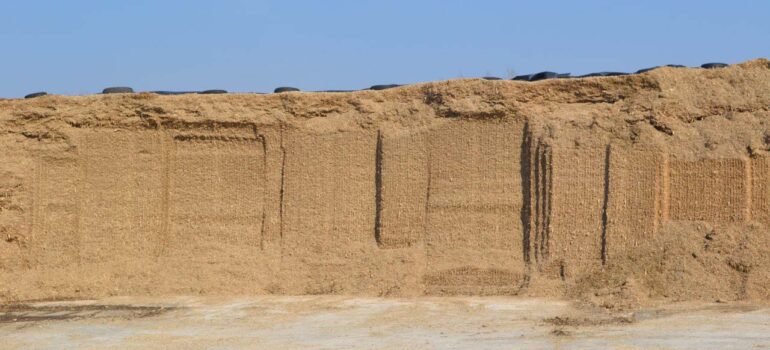 Чувствительность к нагреву кукурузного силоса в исследовании его питательности