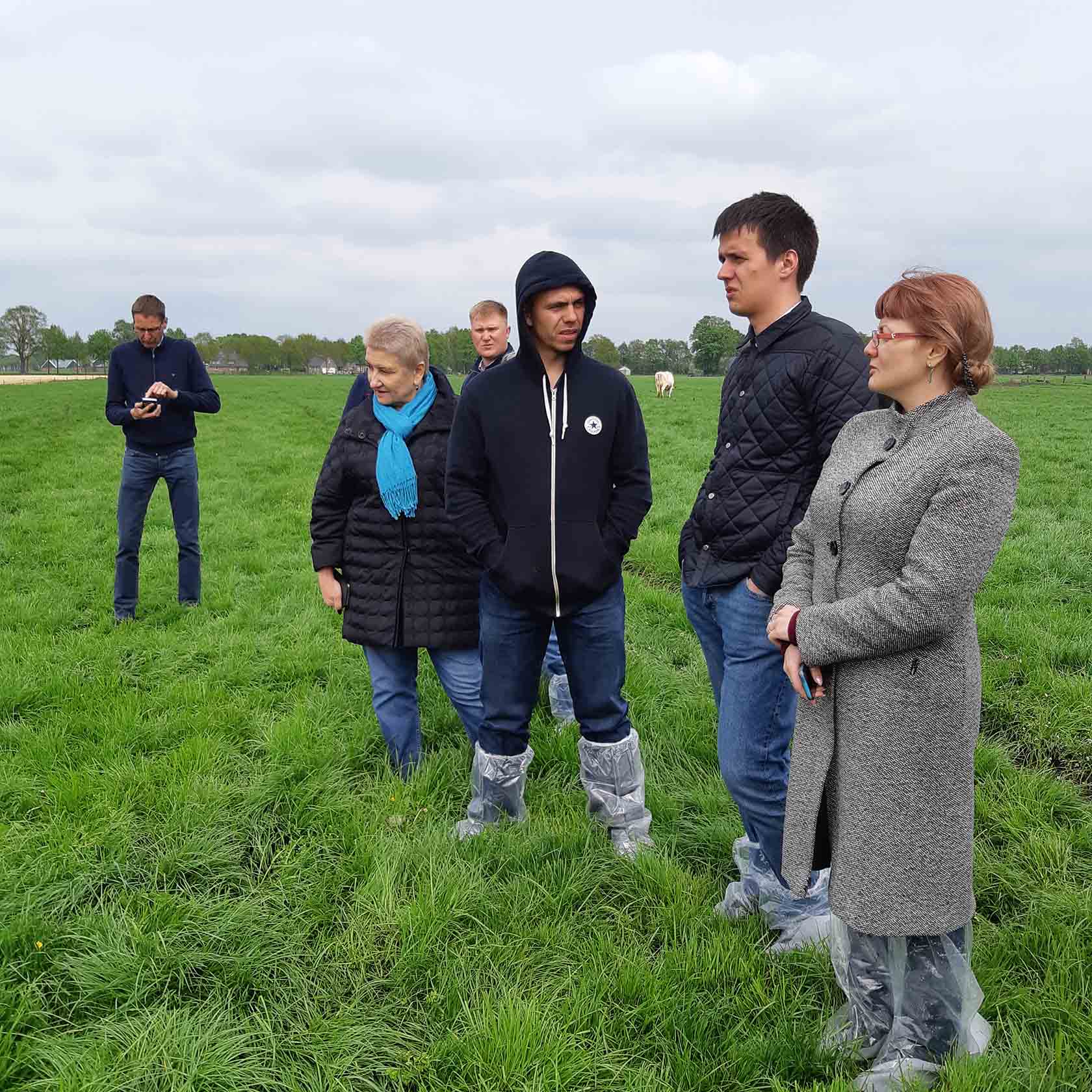 Конкурс лучший силос сенаж 2018 фото