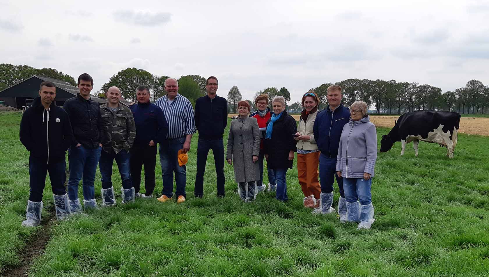 Конкурс лучший силос сенаж 2018 фото
