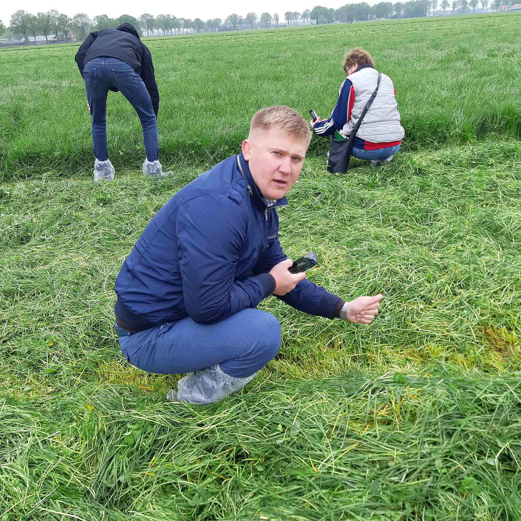 Конкурс лучший силос сенаж 2018 фото