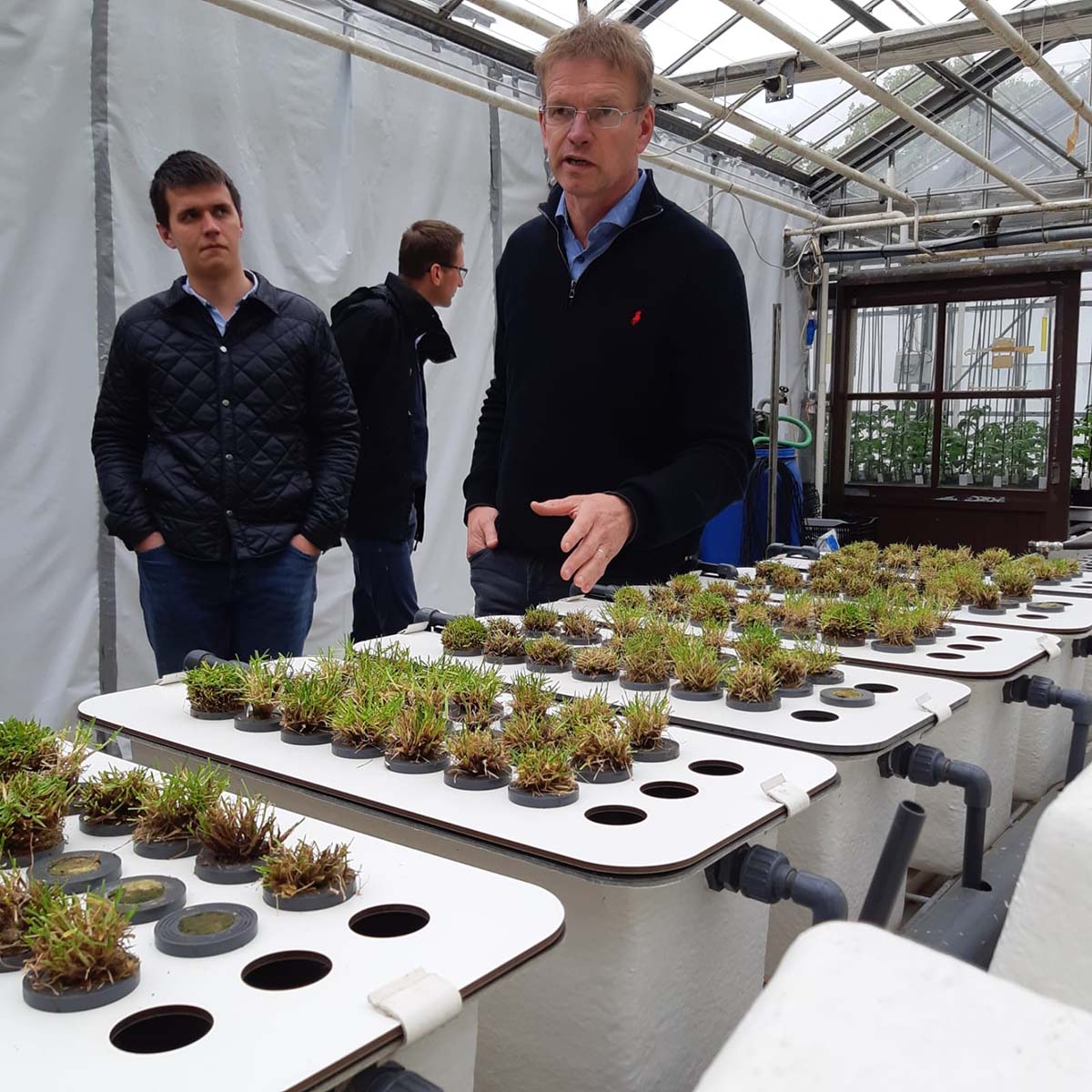 Конкурс лучший силос сенаж 2018 фото