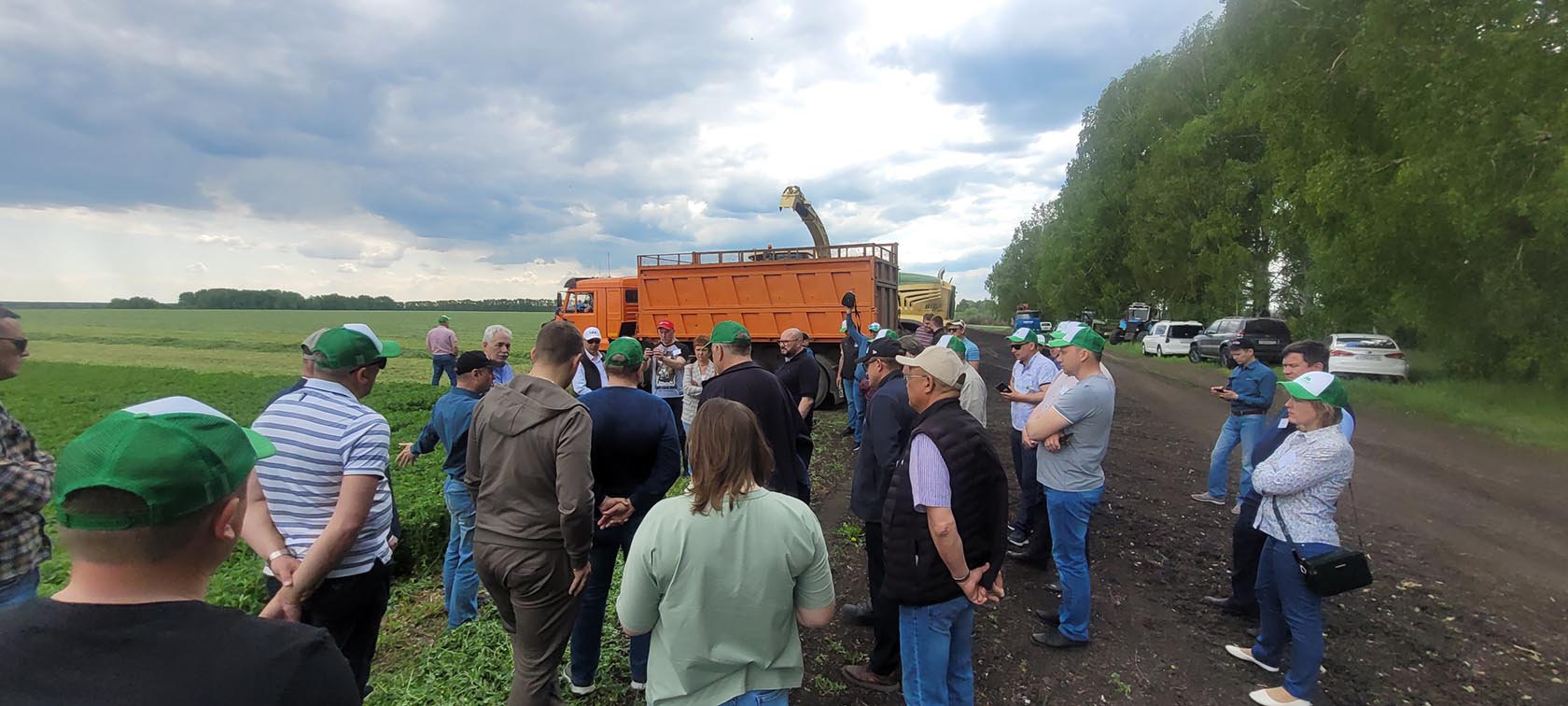 Конкурс лучший силос сенаж 2022 фото