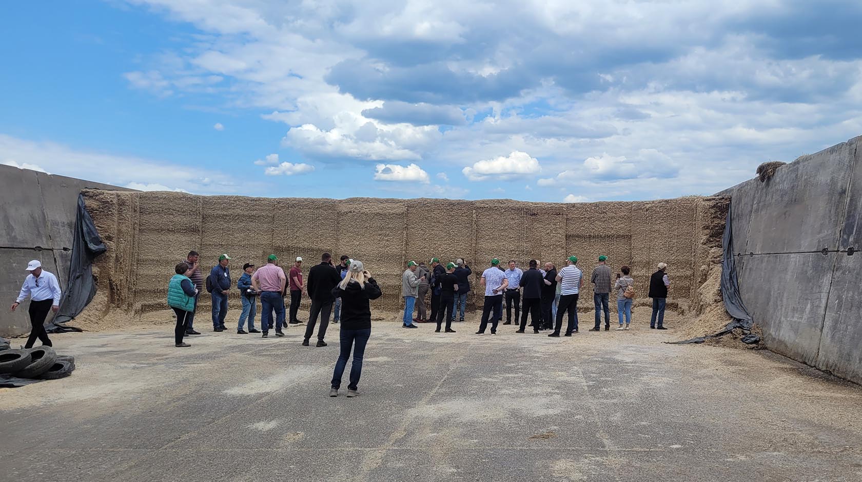 Конкурс лучший силос сенаж 2023 фото