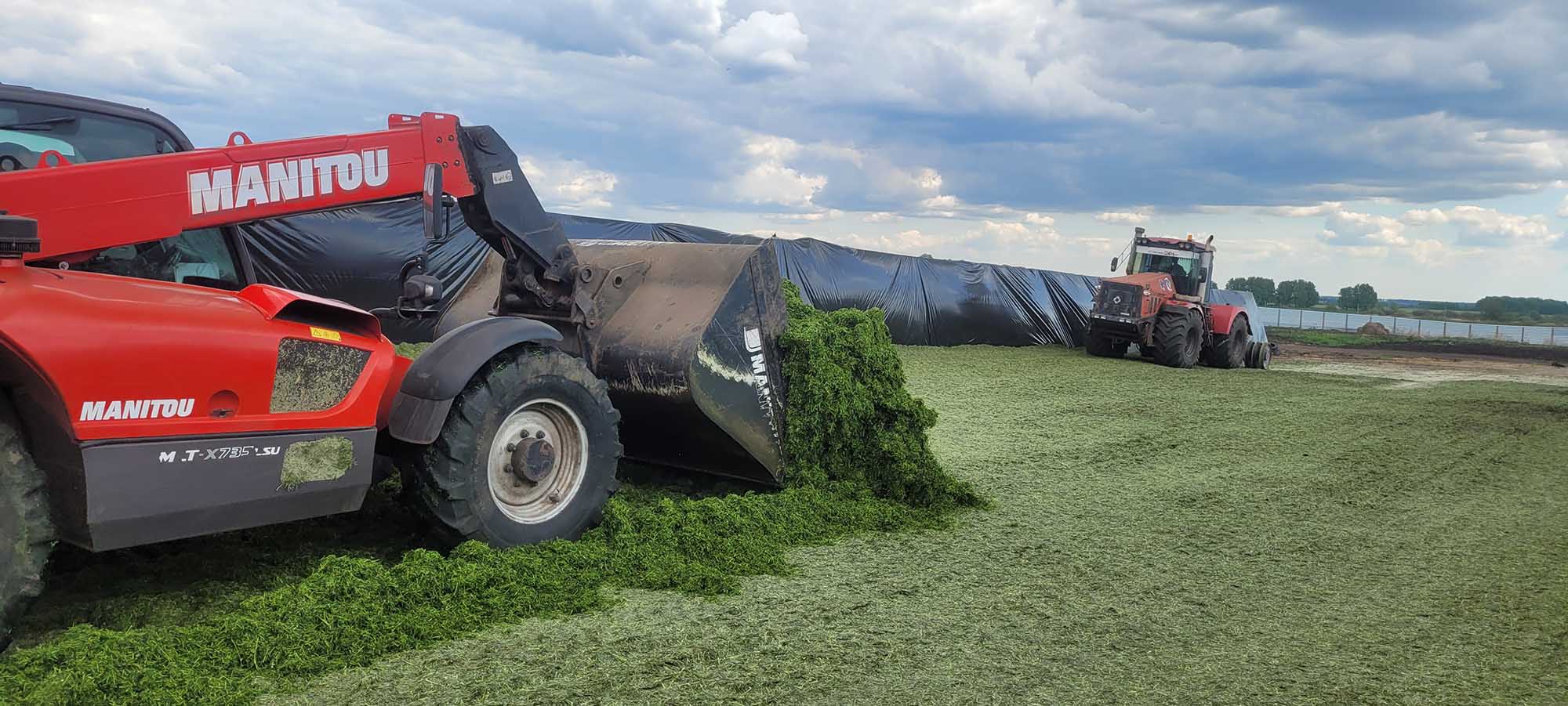 Конкурс лучший силос сенаж 2023 фото